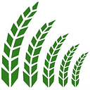 AGRI PARTNER CONCEPT S.R.L.