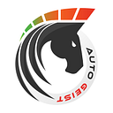 AUTO GEIST SRL