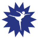 ICE TEAM CONCEPT SRL