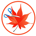 EASYCUT STUDIO SRL