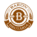 BARON COM S.R.L.