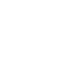 ORION SECURITY SRL