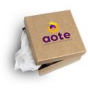 AOTE CARTON SRL