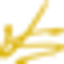 SEC FOREST SRL