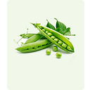 ROYAL & YUNUS OLIVES SRL