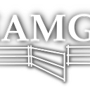 DREAMGATE SRL