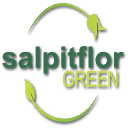 SALPITFLOR GREEN SA