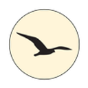 BIRDY COMMUNICATIONS SRL