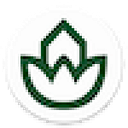 NATUR CLINIC SRL
