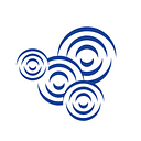 DANUBE PROJECT MANAGEMENT SRL