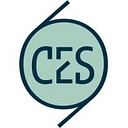 CES CONSULTING SERVICES SRL
