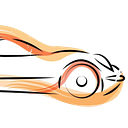 RIN ASTRO SERVICE  SRL