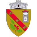 Stema COMUNA BERTEA
