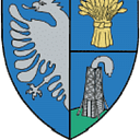 Stema COMUNA RÂFOV