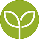 GREEN WOOD MANAGEMENT SRL