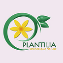 TILLIA COMPANY  SRL