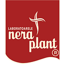 ANDARI PLANT SRL