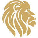 LION FINANCE CONSULTING SRL