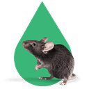 DERAPRO SRL