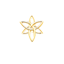 ANGEL SERAPHIM TH SRL