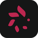 WIN EXPERT CONSULTING SRL