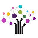 DIGITAL AGENCY SRL
