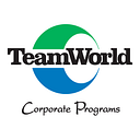 TEAM WORLD CONSTRUCT SRL