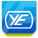 YOUNG A.C. ELECTRIC GROUP SRL