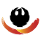 PHOENIX PLASTICS & POLYMERS SRL