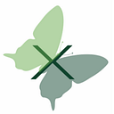 AXESS IMAGING SRL