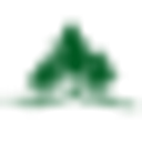 TRANSILVANIA FOREST PRODUCTION SRL