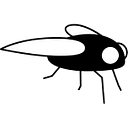 FLY SOUND S.R.L.