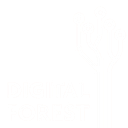 DIGITAL FOREST SRL