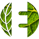 ELEKTRA RENEWABLE SUPPORT SRL