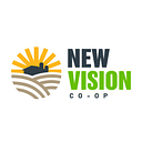 NEW VISION CO SRL