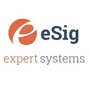 ESIG EXPERT SYSTEMS SRL