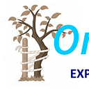 ORTOMEDTIM SRL