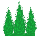 TUIA VERDE SRL