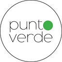 PUNTO VERDE SRL