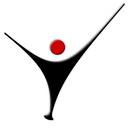 DWYN ELECTRONICS SRL