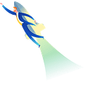 LJ CONSULTING SRL