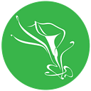 FLORA LUX TRADE MARK SRL