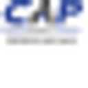 CAPITAL ADVISORY PARTNERS SRL