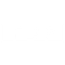 FDP PRO CONS SRL
