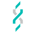 DENTIX MILLENNIUM SRL