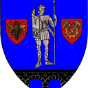 Stema COMUNA BOZOVICI