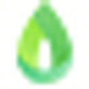 GREEN CITY VOLUNTARI S.A.