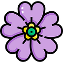 CALANTHA SRL