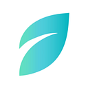 NEW ENERGY MANAGEMENT SRL