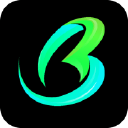 BRUSCH SERVICES SRL